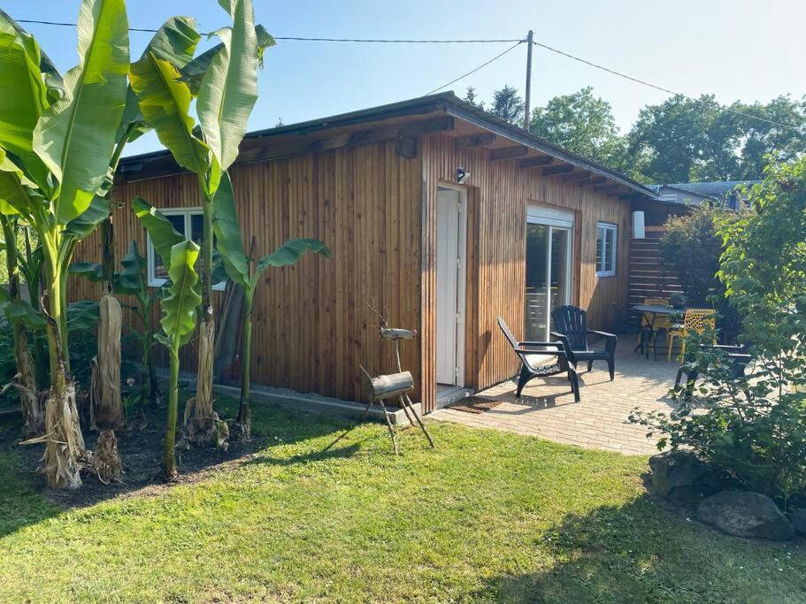 Gite Vogelau Schiltigheim Eksteriør bilde